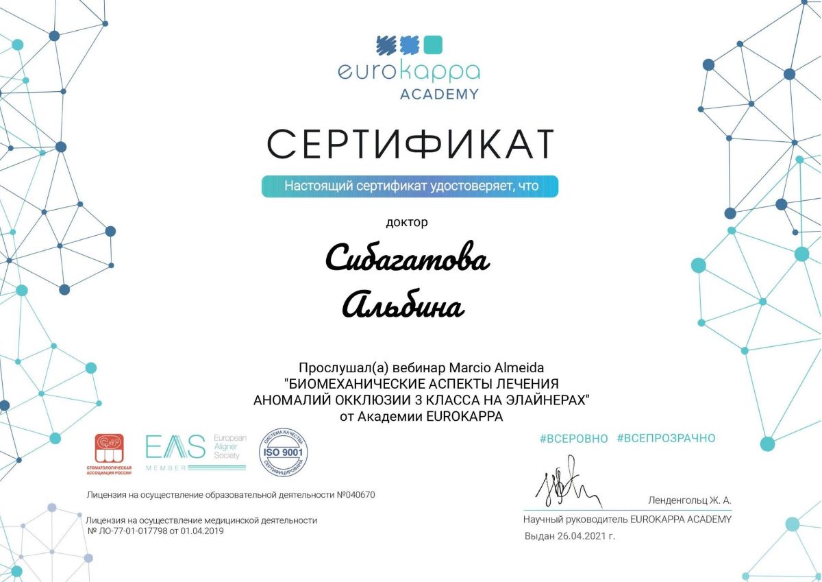 Сертификат Сибагатова фото 2